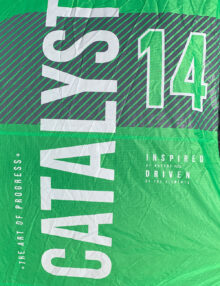 Ozone Catalyst V4 14m Kite